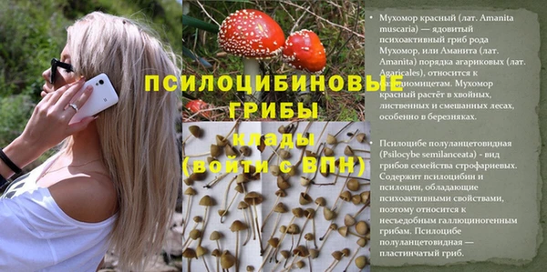 сатива Баксан