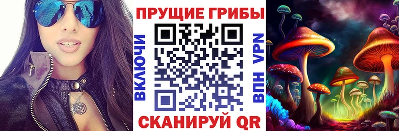 Псилоцибиновые грибы Psilocybe  купить   Олонец 