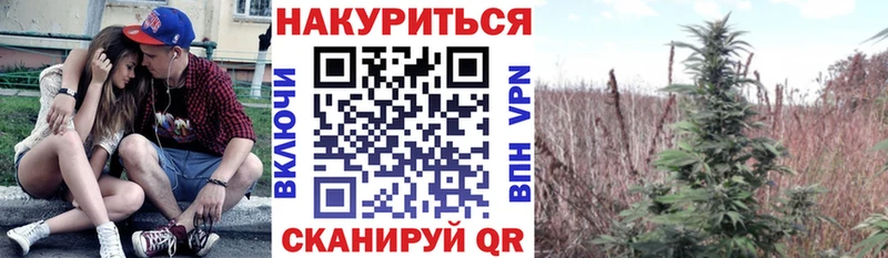 что такое   Олонец  Шишки марихуана VHQ 